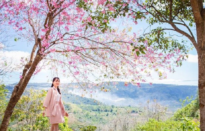 Màu hồng lãng mạn bao phủ trên thành phố
