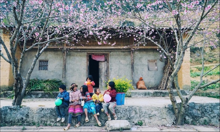 Sapa ngày tết