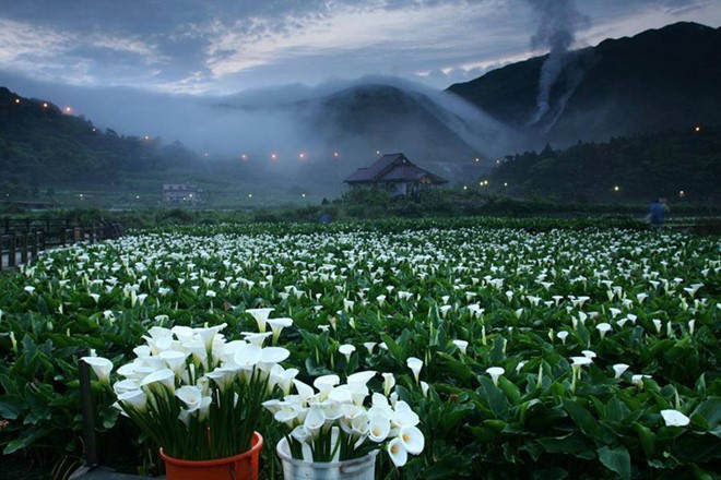công viên quốc gia dương minh sơn đài loan