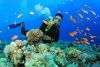 Nha Trang - Tour 4 Đảo - Bãi Dài 3N3Đ