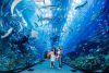Nha Trang - Tour 4 Đảo - Bãi Dài 3N3Đ